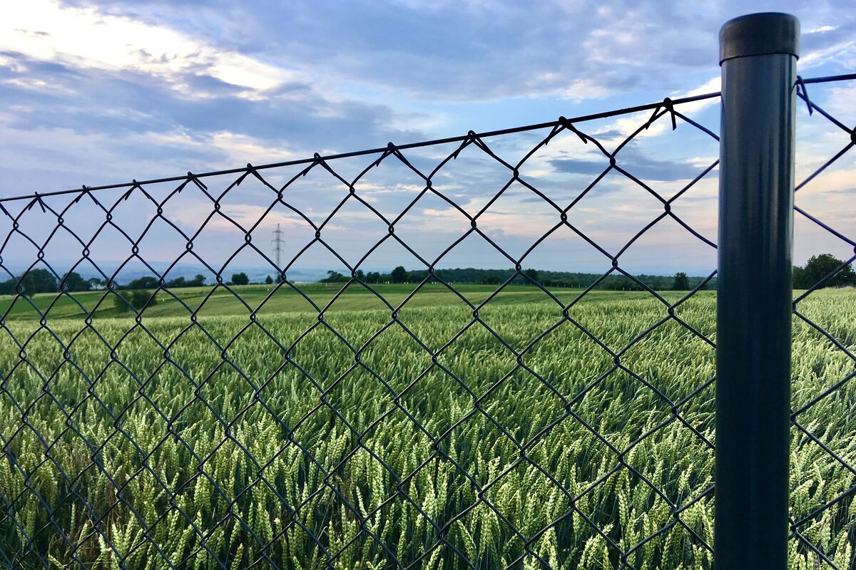 Realizace pletivového plotu — naše montážní parta
